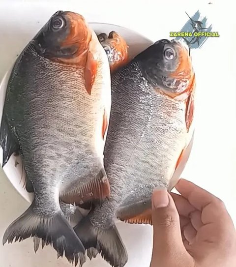 Cuma Pakai Air Cucian Beras, Begini Cara Netralkan Bau pada Ikan Bawal (YouTube/zarena official)