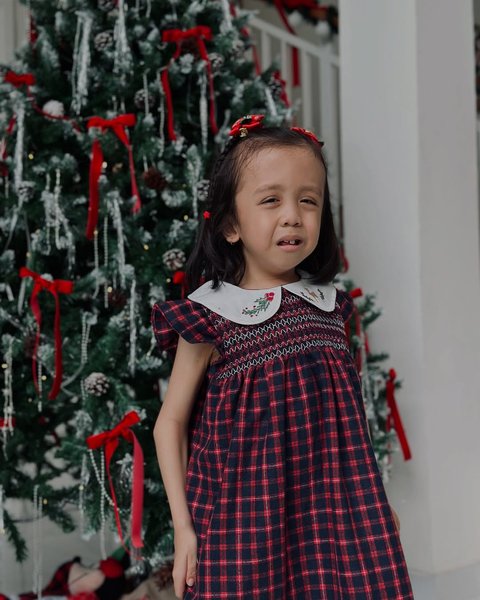 Jadi Single Parent, 7 Potret Joanna Alexandra Sambut Natal Bersama Empat Anak - Tampil Kompak dengan Tartan Outfit