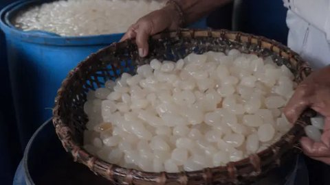 Pedagang menyortir kolang-kaling untuk dijual di kawasan Tanah Abang (13/4/2021). Selama Ramadan buah kolang-kaling selalu diburu oleh masyarakat. Tak heran jika pedagang musiman selalu bermu