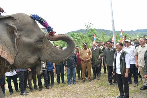 Dihadiri Edhy Prabowo, Menhut Cek Lahan Presiden Prabowo untuk Konservasi Gajah di Aceh