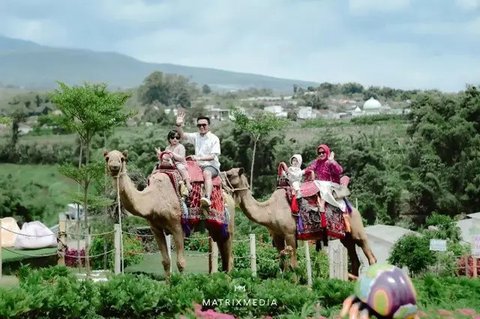 Malang Night Paradise