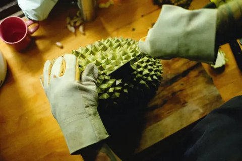 Ilustrasi Durian/https://unsplash.com/Jim Teo