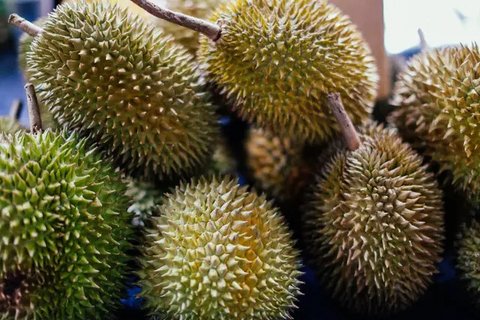 Ilustrasi Durian/https://unsplash.com/Jim Teo