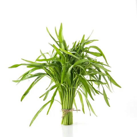 Ilustrasi tumis sayur kangkung daun bawang putih/copyright freepik.com/stockking