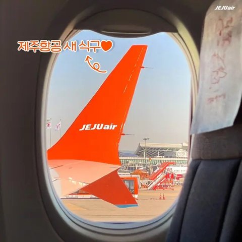 Mekanik maskapai Jeju Air mengikat sebuah pesawat di landasan saat Topan Hinnamnor bergerak menuju Semenanjung Korea di Bandara Internasional Gimpo di Seoul, Korea Selatan, Senin (5/9/2022