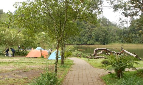 Camping di Alam Bak Serpihan Surga, Momen Libur Akhir Tahun di Ranu Regulo Lereng Gunung Semeru