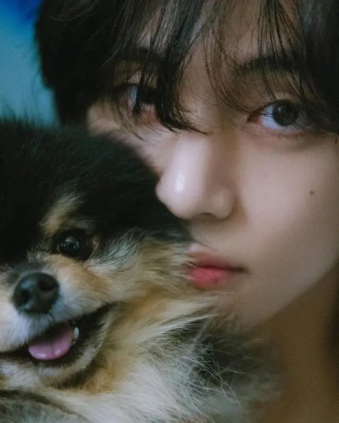 Kenangan Manis Yeontan, Anjing Kesayangan V BTS yang Kini Telah Berpulang