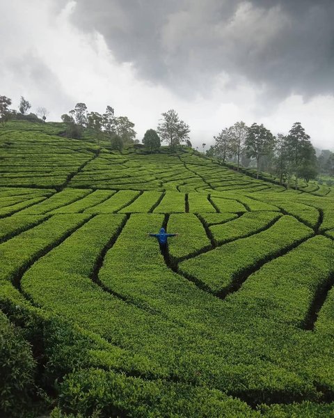 4 Hidden Gem di Bandung yang Cocok Jadi Tempat Healing Bareng Keluarga dan Sahabat