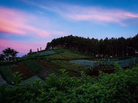 4 Hidden Gem di Bandung yang Cocok Jadi Tempat Healing Bareng Keluarga dan Sahabat