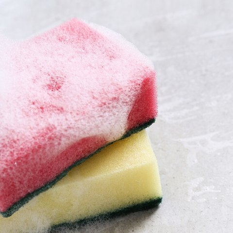 Ilustrasi Spons Cuci Piring