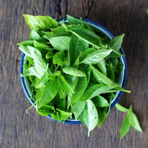 Daun Kemangi (Credit: Shutterstock/Kathleen JT)