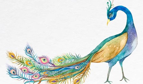 Beautiful Peacock Drawing - animalart