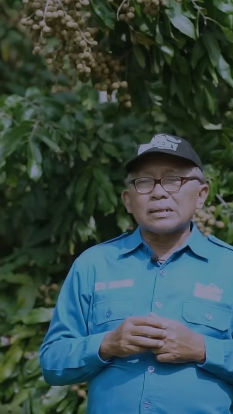 Pilih Resign dari Pegawai BUMN Demi Jadi Petani Kelengkeng
