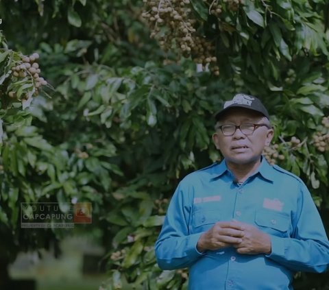 Pilih Resign dari Pegawai BUMN Demi Jadi Petani Kelengkeng