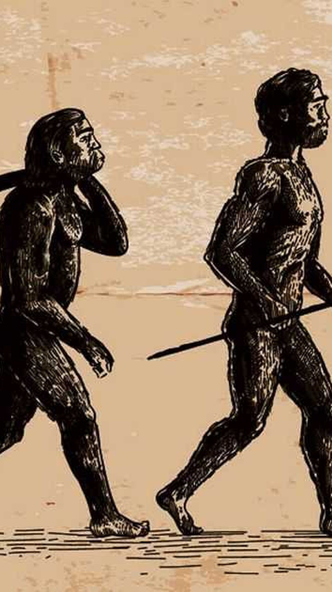 Fosil Telinga Kera Berusia 6 Juta Tahun Ungkap Bagaimana Manusia Bisa Berjalan Tegak Dua Kaki