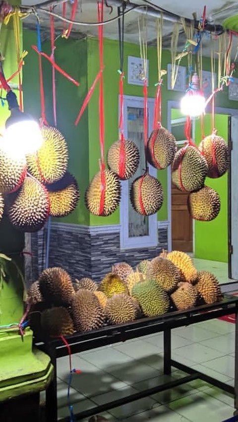 2 Kabupaten Ini Jadi Sentra Durian Unggul di Jawa Barat, Ada Jenis Jarot yang Kecil-Kecil Cabe Rawit