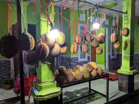 2 Kabupaten Ini Jadi Sentra Durian Unggul di Jawa Barat, Ada Jenis Jarot yang Kecil-Kecil Cabe Rawit