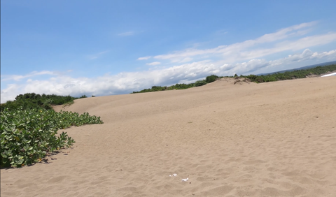 Pasirnya Bersih dan Halus