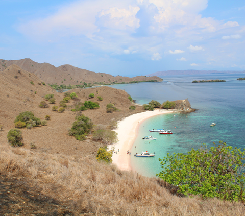 Turis Asal China Meninggal di Pink Beach Labuan Bajo, Begini Kronologinya