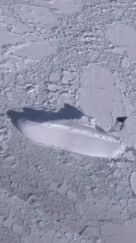 Ada Keanehan yang Ditemukan di Antartika lewat Google Earth, Seperti Kapal Membeku