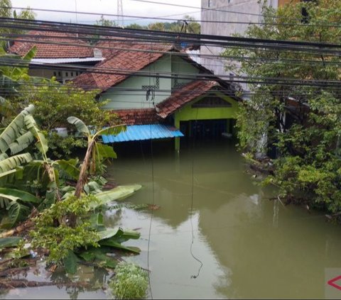 106 Lokasi TPS di Demak Terendam Banjir, Pemilu Susulan Diusulkan Jadi Opsi