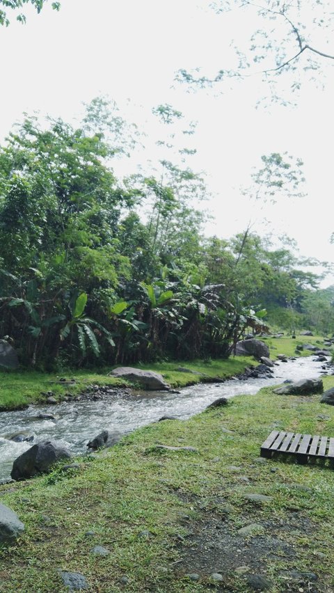 Terkenal sebagai salah satu destinasi wisata terpopuler di Indonesia, Jawa Timur menggabungkan kekayaan sejarah dengan keindahan alam yang menakjubkan, menciptakan pengalaman perjalanan yang tak terlupakan bagi para pengunjung.