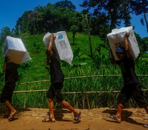 Sejumlah warga Baduy Luar membawa kotak suara Pemilu 2024 untuk didistribusikan ke sejumlah Tempat Pemungutan Suara (TPS) di kawasan Kadu Ketug 3, Leuwidamar, Lebak, Banten, Selasa (13/2/2024). Pendistribusian logistik Pemilu 2024 ini dilakukan sehari menjelang pemungutan suara pada 14 Februari besok. Merdeka.com/Arie Basuki