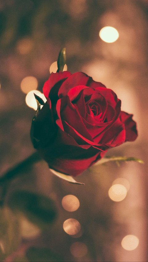 10 Rekomendasi Hadiah Valentine yang Romantis, Momen Indah di Hari Kasih Sayang<br>