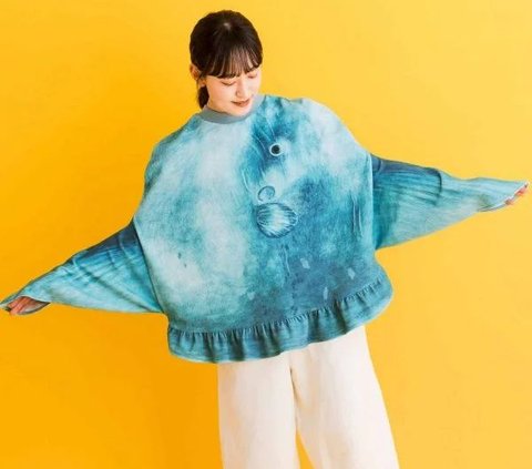 Very Funny, There is a Fish Model Sweater with Fins