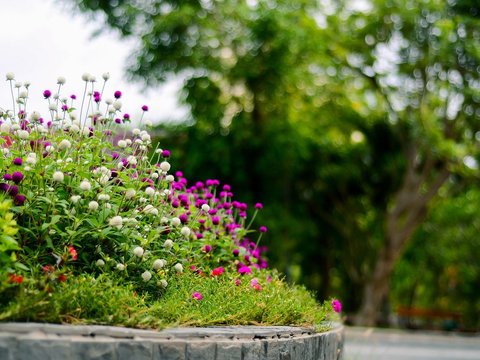 Kutabawa Flower Garden