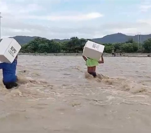 Potret Petugas Pemilu di Kupang, Bawa Logistik Terjang Banjir Demi Warga Mencoblos