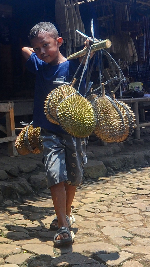 FOTO: Potret Kesederhanaan Bocah Suku Baduy Selalu Ceria Bantu Orang Tua Jualan Durian Pikul Keliling di Lebak