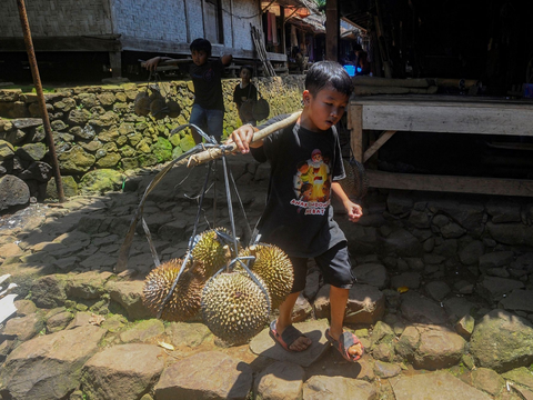 FOTO: Potret Kesederhanaan Bocah Suku Baduy Selalu Ceria Bantu Orang Tua Jualan Durian Pikul Keliling di Lebak