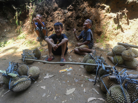 FOTO: Potret Kesederhanaan Bocah Suku Baduy Selalu Ceria Bantu Orang Tua Jualan Durian Pikul Keliling di Lebak