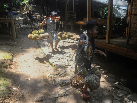 FOTO: Potret Kesederhanaan Bocah Suku Baduy Selalu Ceria Bantu Orang Tua Jualan Durian Pikul Keliling di Lebak