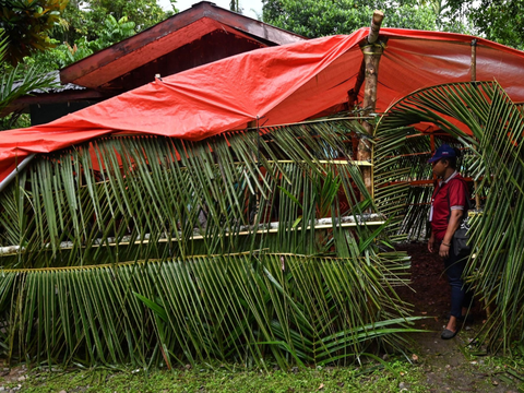 FOTO: Suasana Pemilu Bernuansa Alam di Papua, TPS dari Daun Kelapa Bikin Adem Para Calon Pemilih