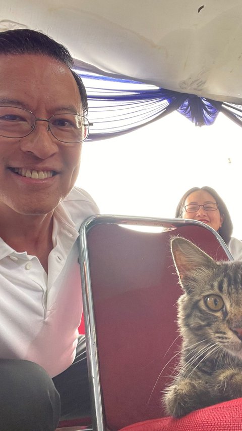 Tom Lembong Diikuti Kucing Belang, Sampai Ikut ke TPS sampai Diajak Selfie