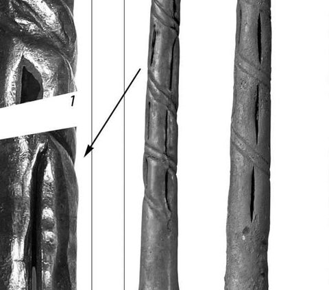 Arkeolog Temukan Sedotan Tertua di Dunia Berusia 5.500 Tahun, Panjangnya Hampir 1 Meter