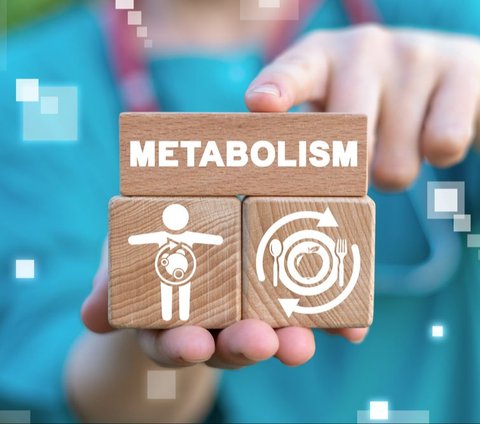 Help Lower Weight, Here's How to Increase Optimal Body Metabolism