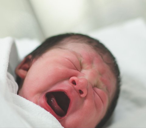 Baby Born on February 14, Named Prabowo Gibran
