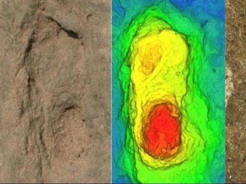 Penampakan Jejak Kaki Misterius di Pantai Maroko Berusia 90.000 Tahun, Diduga Milik Manusia Purba