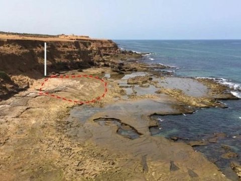 Penampakan Jejak Kaki Misterius di Pantai Maroko Berusia 90.000 Tahun, Diduga Milik Manusia Purba