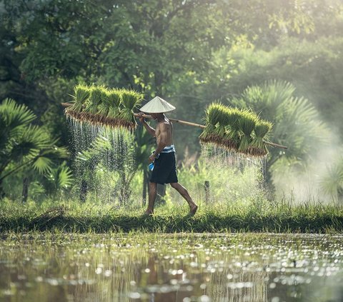 Mengenal Tari Piriang Suluah, Seni Tradisional Simbol Kehidupan Petani di Padang Panjang