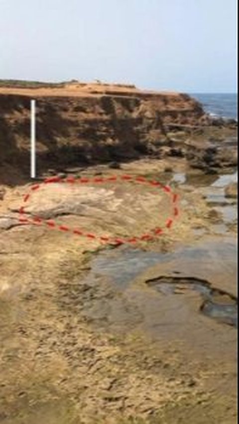 Penampakan Jejak Kaki Misterius di Pantai Maroko Berusia 90.000 Tahun, Diduga Milik Manusia Purba