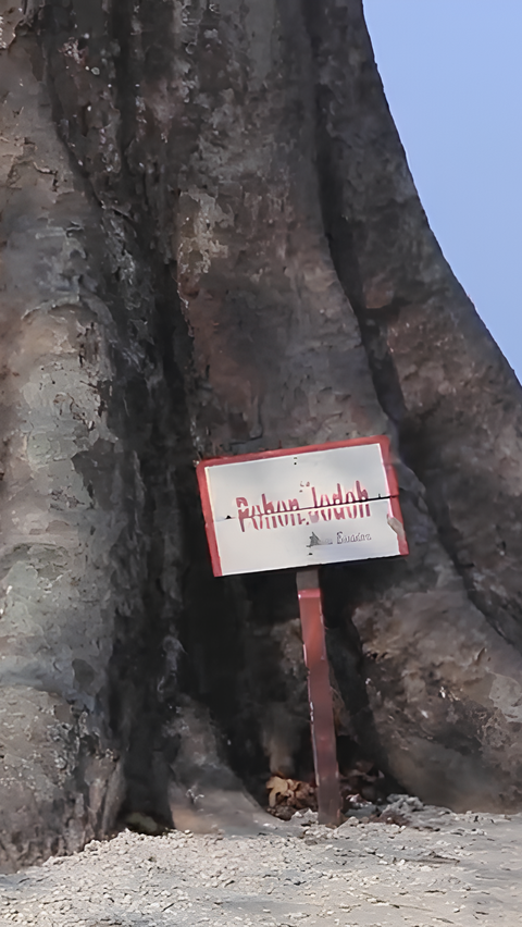 Uniknya Pulau Bidadari di Jakarta, Ada Pohon yang Dipercaya Bikin Jomlo Enteng Jodoh