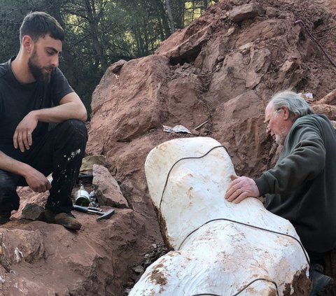 Seekor Anjing Temukan Tulang Dinosaurus Berusia 70 Juta Tahun, Panjangnya Bisa Sampai 30 Meter