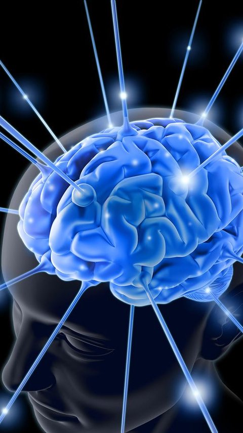 <b>Bagaimana Cara Menjaga Otak?</b>