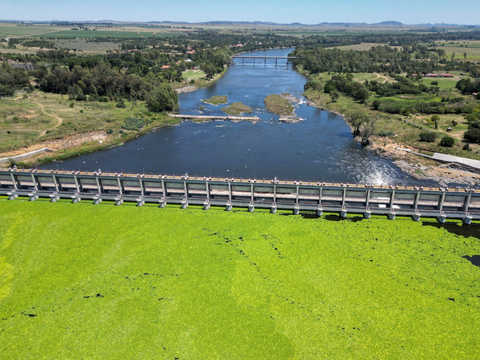 FOTO: Penampakan Tumbuhan Selada Air Bikin Sungai di Afrika Selatan Ini Seperti Daratan