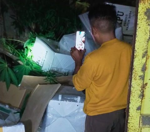 Truk Pengangkut Logistik Pemilu di NTT Tabrak Pembatas Jalan, 5 Kotak Suara Rusak