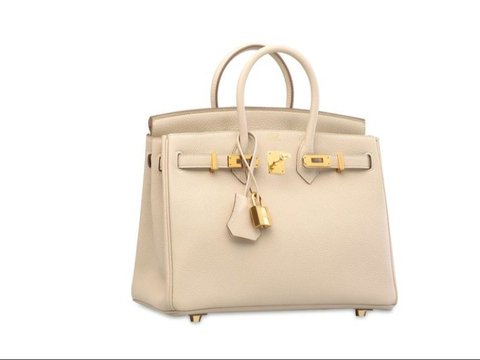 Collection of 2 Luxury Bags by Sabrina Chairunnisa, Some Priced at Rp1.2 Billion